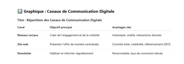 Infographie des canaux de marketing digital pour professionnels de santé